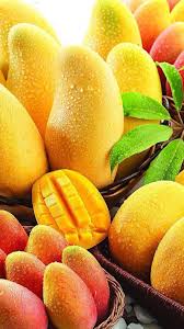 قیمت انبه اسلایس