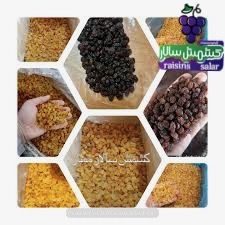 تصویر 3 از خرید کشمش بی‌ دانه عمده