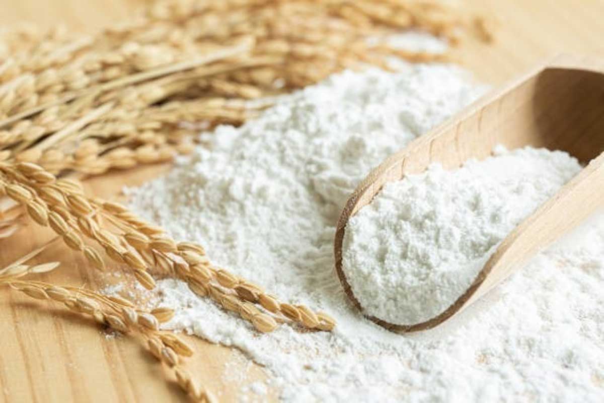 تصویر 3 از قیمت نشاسته گندم امروز + خرید مستقیم و عمده