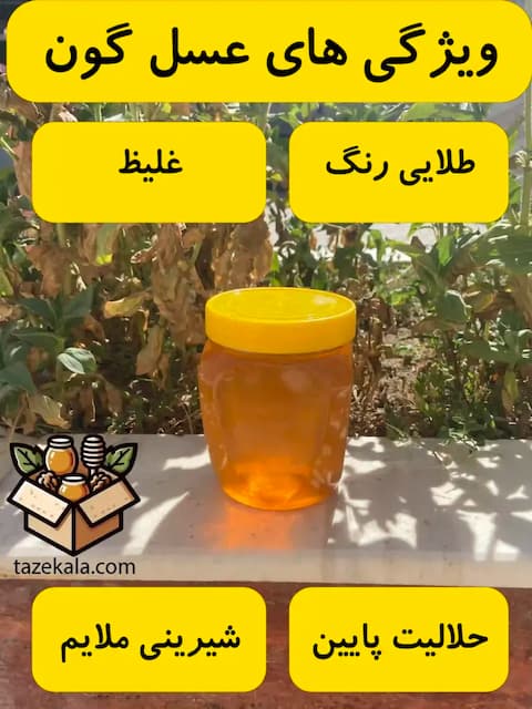 تصویر 5 از خرید عمده اینترنتی عسل گون گز هانیوا + قیمت مناسب