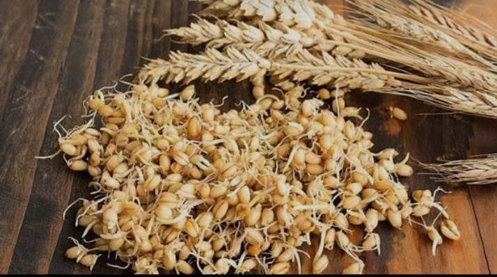 تصویر 3 از ارزش غذایی پودر جوانه گندم برای سلامت پوست، مو و ناخن