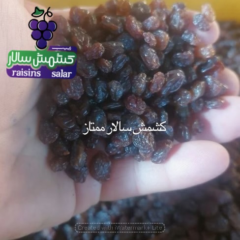 تصویر 6 از کشمش تیزابی بیدانه قوچان