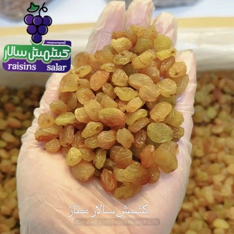 تصویر 2 از کشمش تیزابی بیدانه بناب