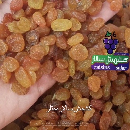 تصویر 5 از تضمین کیفیت کشمش تیزابی بیدانه