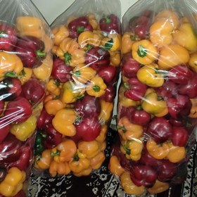 تصویر 3 از خرید ویژه فلفل دلمه ای رنگی تازه