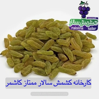 تصویر 4 از خرید عمده کشمش سبز قلمی