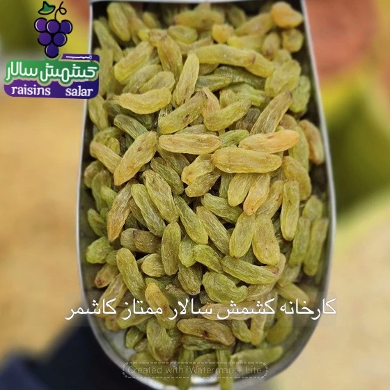 تصویر 5 از کشمش سبز پیکامی کاشمر