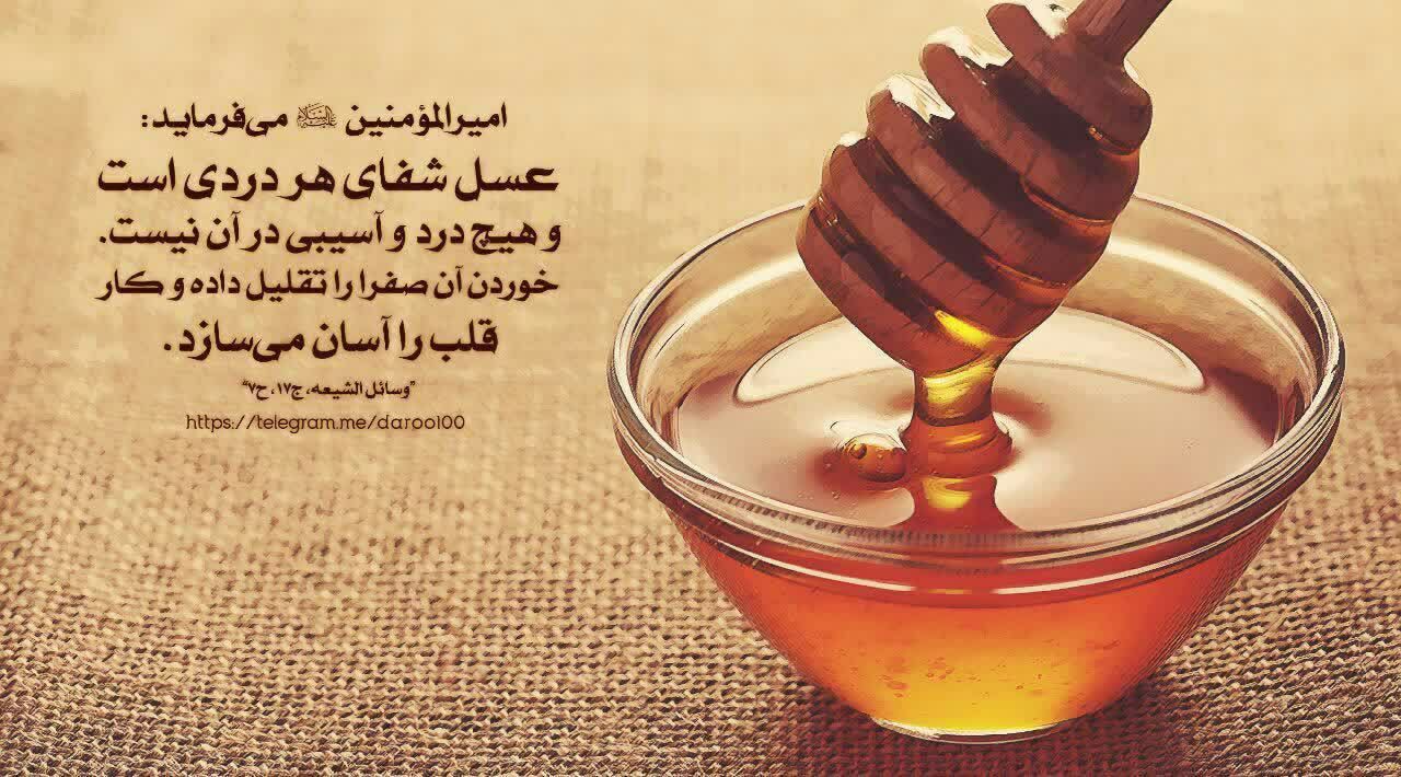 تصویر 3 از پخش عمده عسل شوید هانیوا + قیمت کف بازار