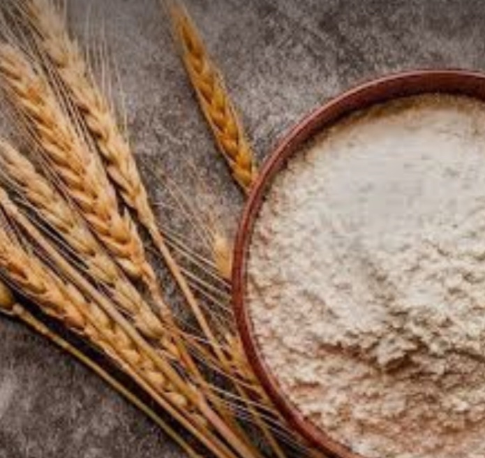 تصویر 5 از پودر جوانه گندم برای وگان‌ها؛ یک ماده غذایی مغذی و گیاهی
