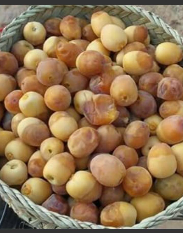 خرید رطب برحی
