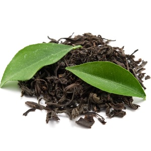 چای شمال؛ عطر اصیل باغ‌های سرسبز گیلان