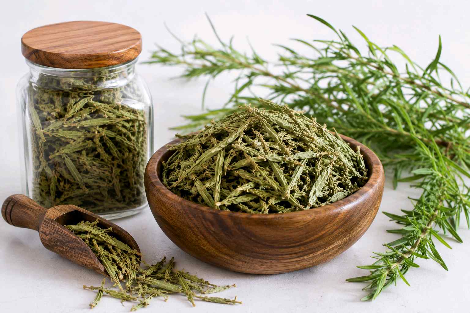 فروش گیاه زوفا