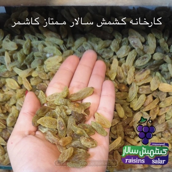 تصویر 3 از کشمش سبز کاشمر بدون گوگرد