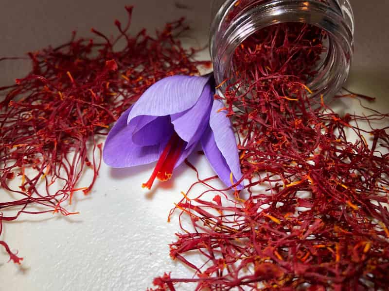 زعفران پوشال مشهد مناسب تهیه شیرینی و نوشیدنی