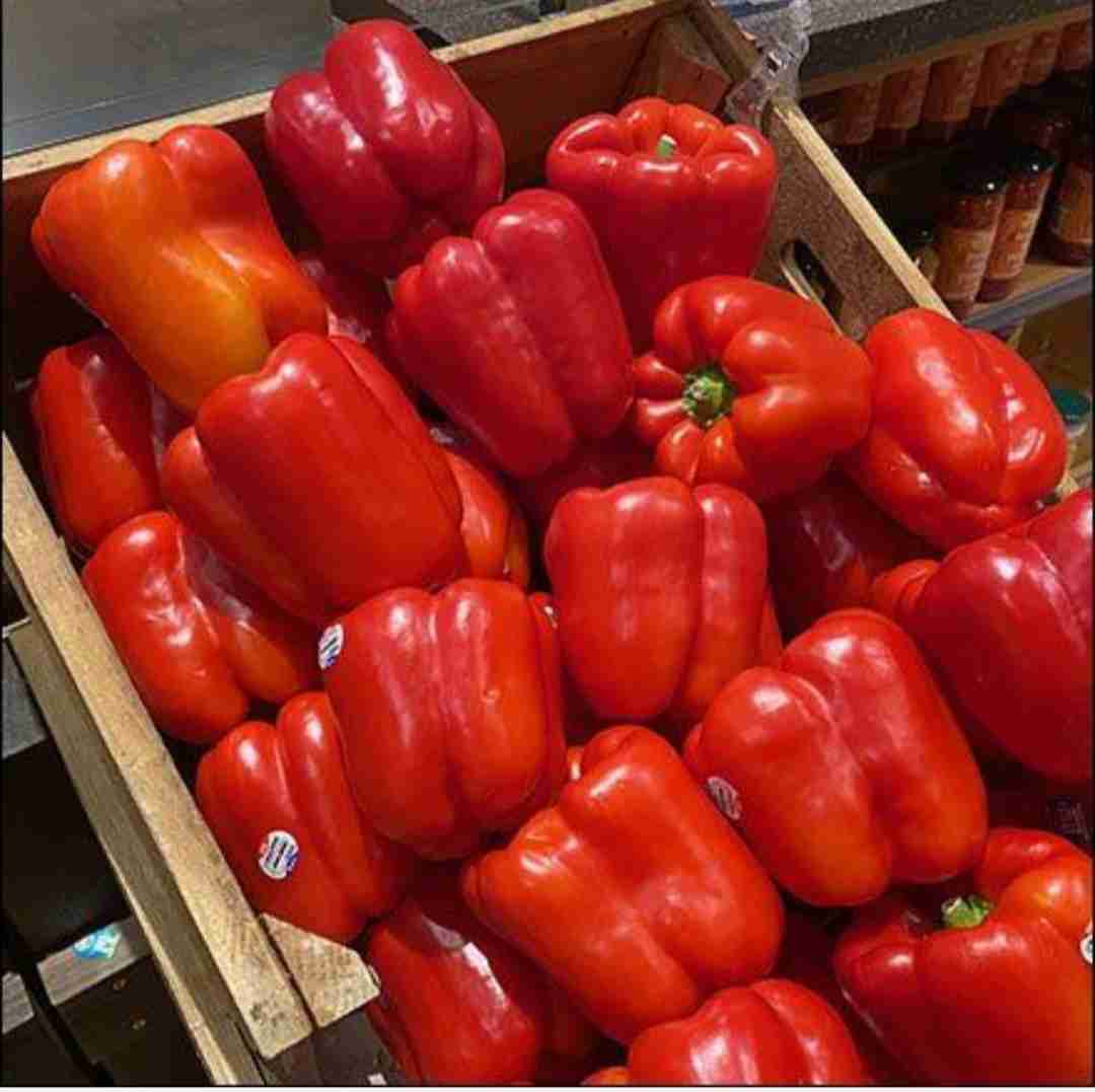 تصویر 1 از قیمت روز فلفل دلمه‌ای سبز و رنگی