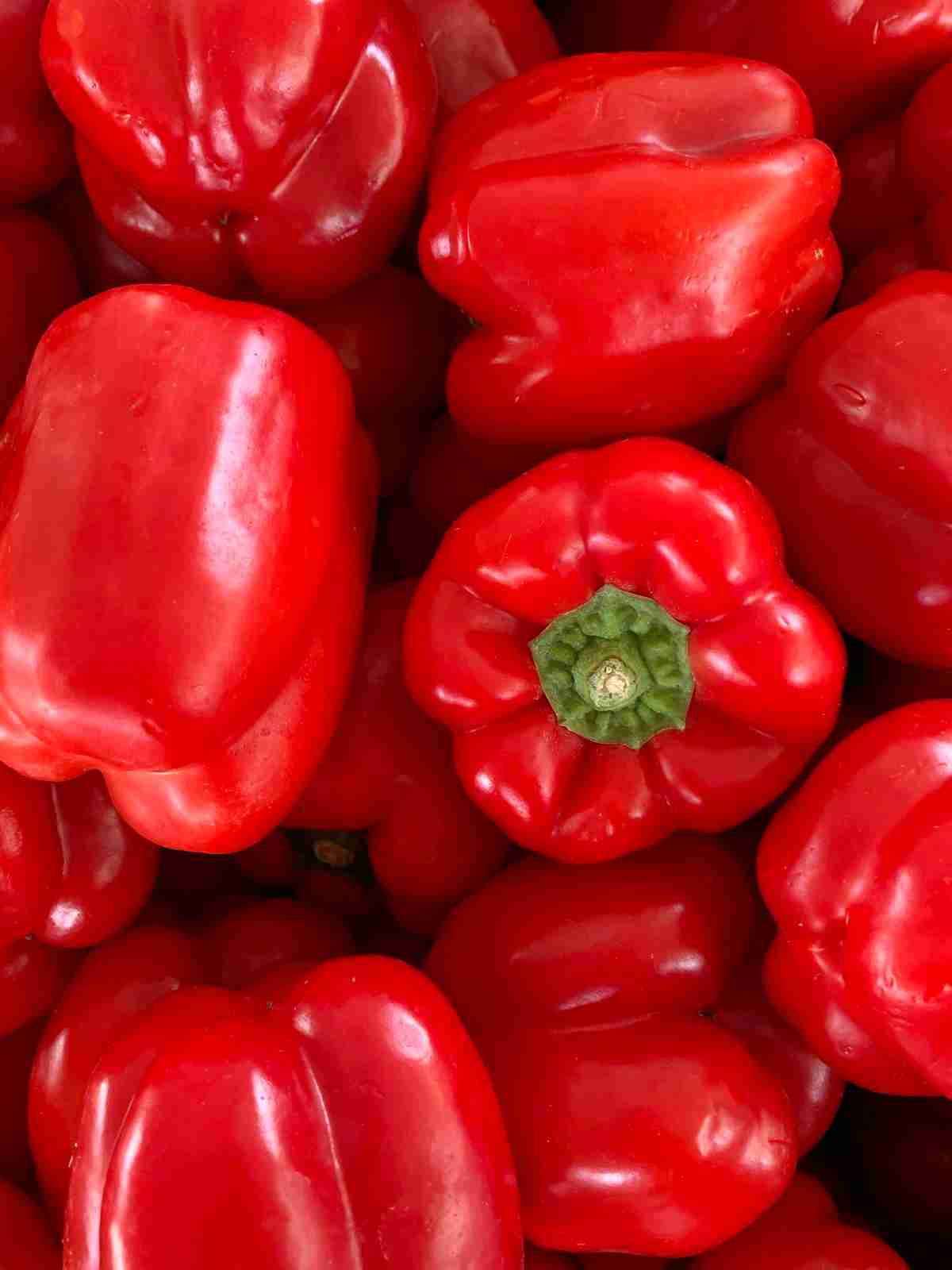 فلفل دلمه‌ای گلخانه‌ای مرغوب، از گلخانه تا بازار