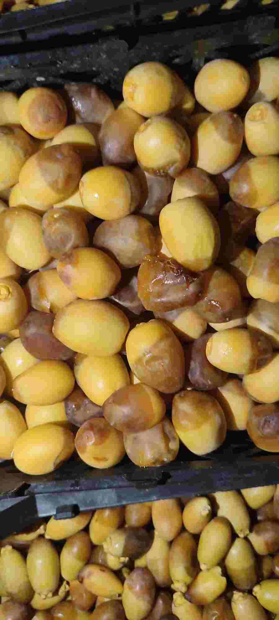 قیمت خارک رطب