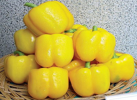 تصویر 1 از فلفل دلمه ای صادراتی با بسته بندی مناسب و کیفیت بالا