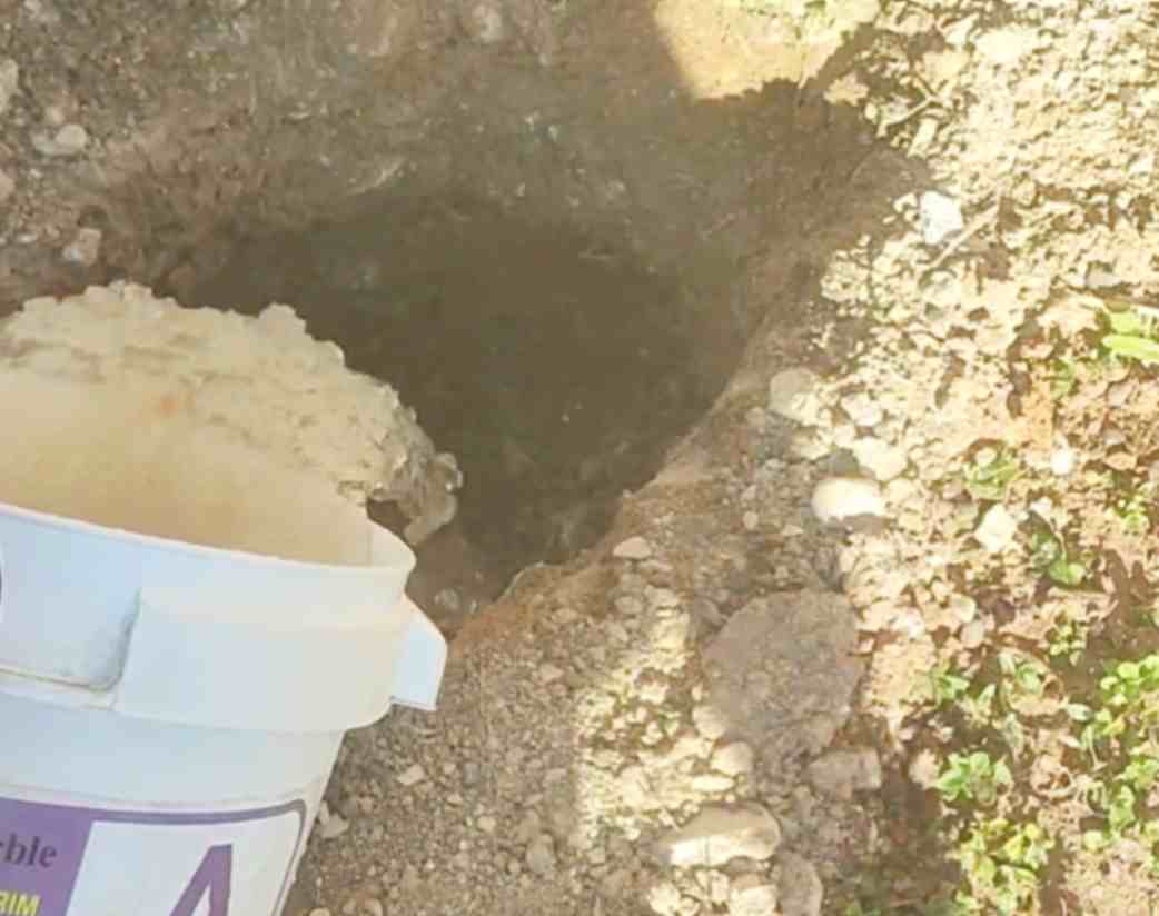 قیمت و فروش خاک ژله ای برای گیاهان