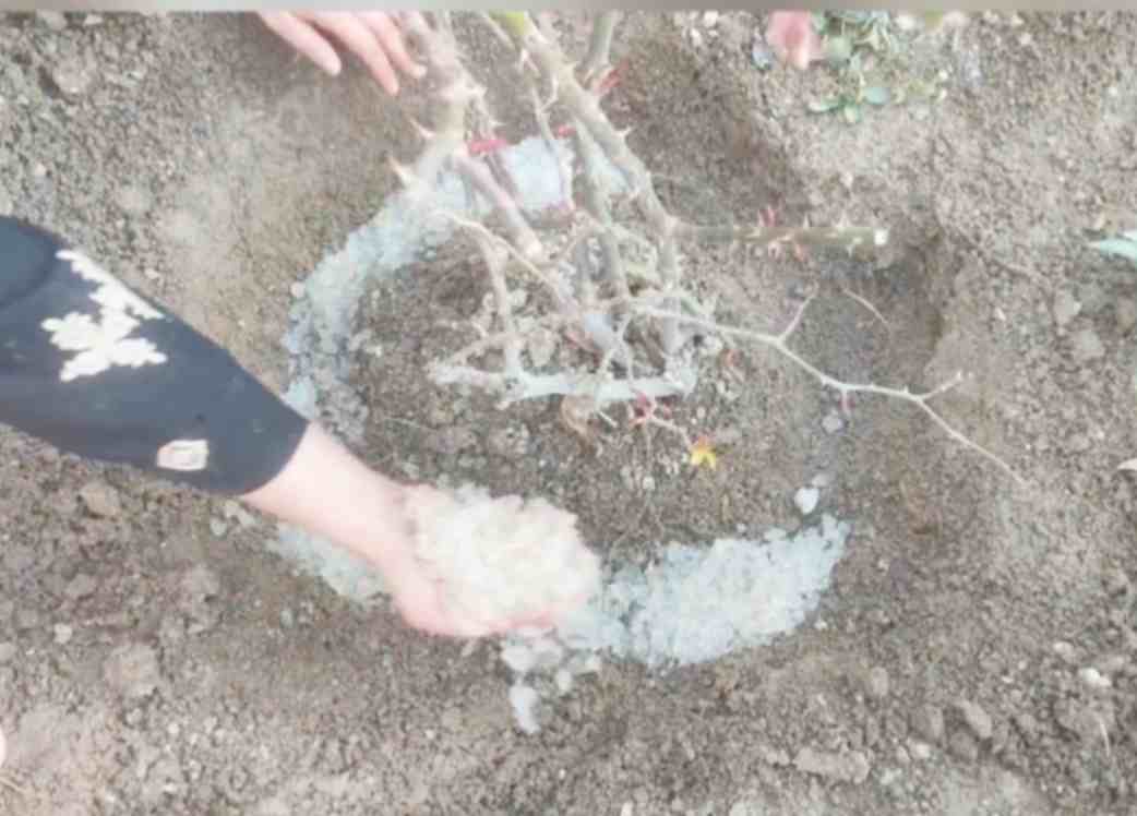 هیدروژل ابرسان