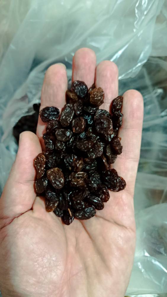 تصویر 1 از کشمش آفتابی تک تاک