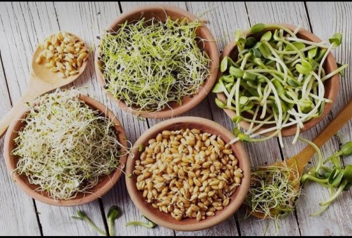 تصویر 1 از پودر جوانه گندم برای افزایش انرژی در رژیم وگان