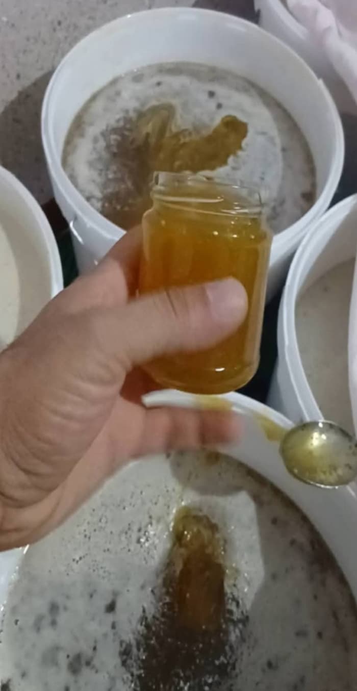 تصویر 2 از عرضه مستقیم‌ عسل بابونه هانیوا + قیمت به صرفه