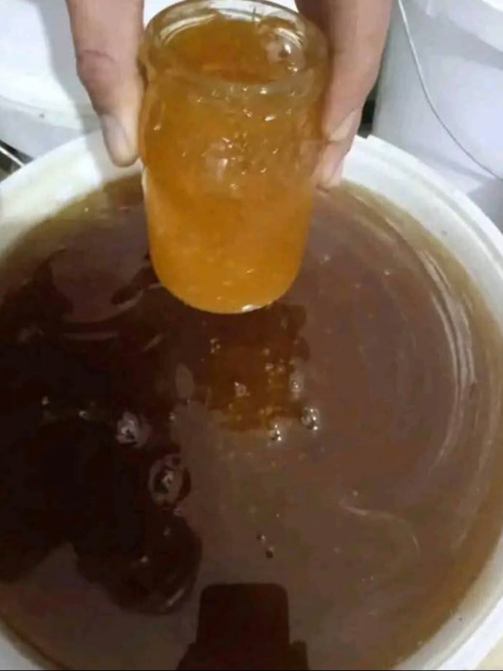 تصویر 3 از عرضه مستقیم‌ عسل بابونه هانیوا + قیمت به صرفه