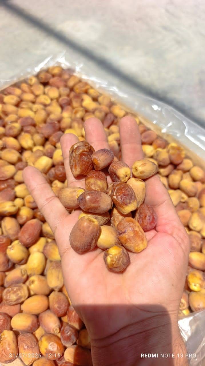 فروش انواع خرما زاهدی مناسب کشور افغانستان