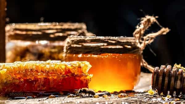 تصویر 4 از فروش‌ عسل خارمریم هانیوا باشرایط استثنایی