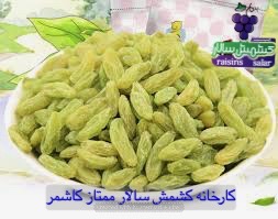 تصویر 1 از خرید کشمش سبز پیکامی عمده