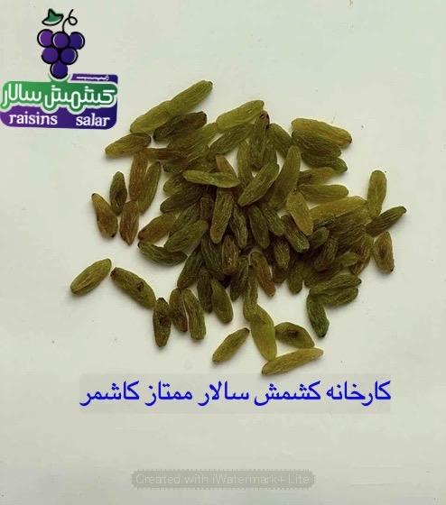تصویر 2 از خرید کشمش سبز پیکامی عمده