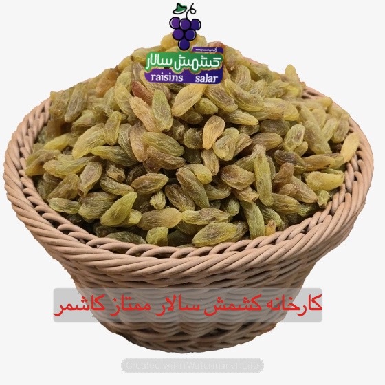 تصویر 4 از خرید کشمش سبز پیکامی عمده