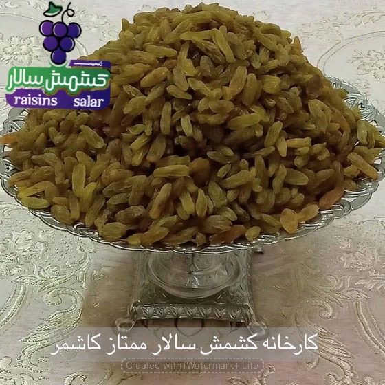 تصویر 5 از خرید کشمش سبز پیکامی عمده