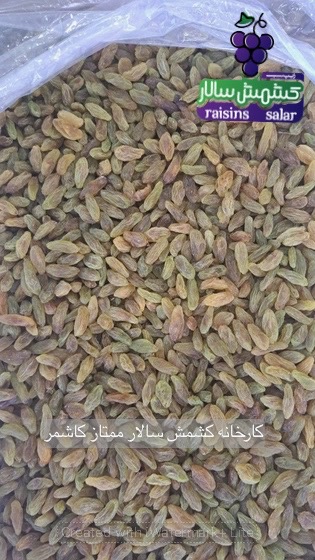 فروش کشمش سبز قلمی درجه یک