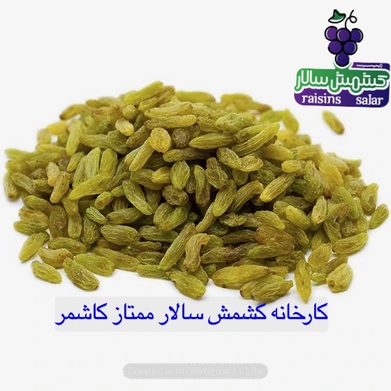 تصویر 4 از فروش کشمش سبز قلمی درجه یک