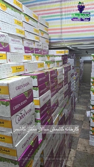 تصویر 4 از کشمش سبز قلمی بدون هسته