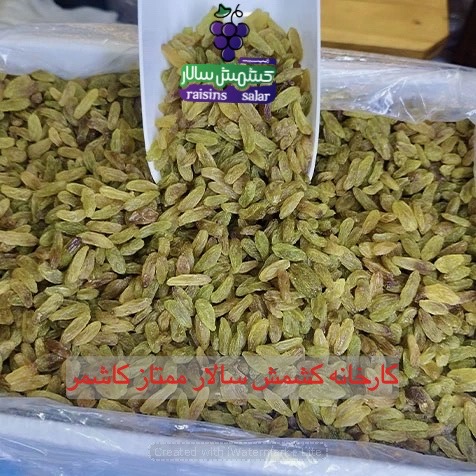 تصویر 5 از کشمش سبز قلمی بدون هسته