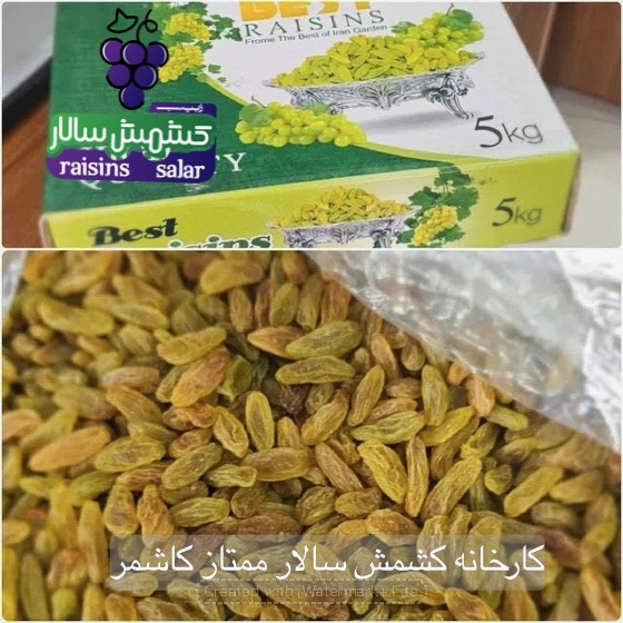 تصویر 5 از تامین کننده کشمش سبز کاشمر