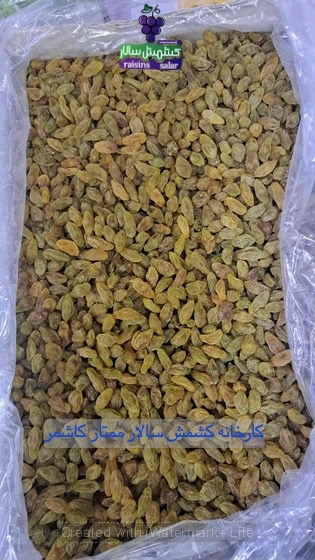 خرید کشمش سبز برای کانادا