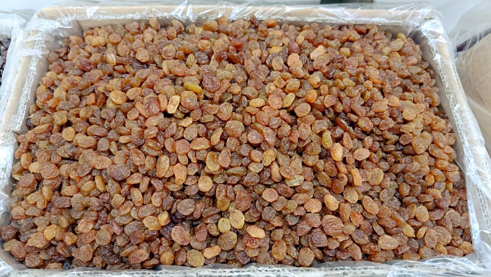 تصویر 3 از کشمش طلایی تک تاک