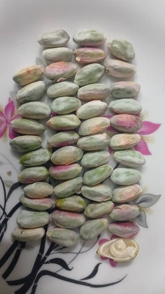تصویر 1 از خرید و فروش پسته لوکس رفسنجان