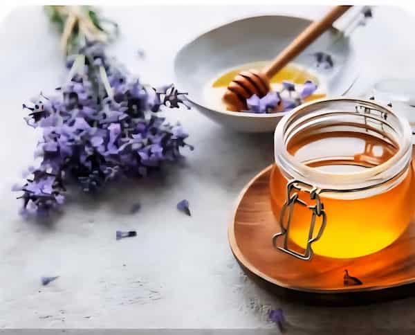 قیمت مناسب عسل اکالیپتوس هانیوا + فروش عمده
