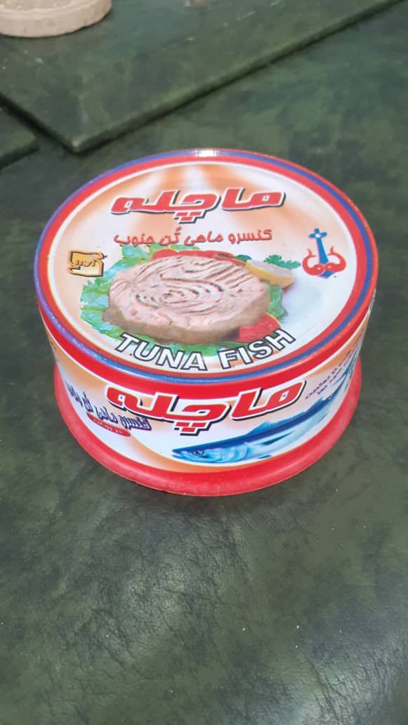 فروش عمده کنسرو ماهی ماچله
