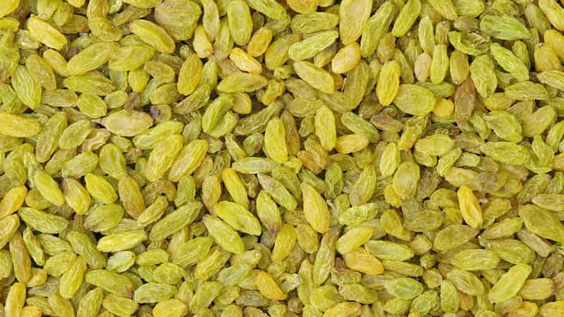 کشمش سبز کاشمر با کیفیت مطلوب برای مصرف روزانه