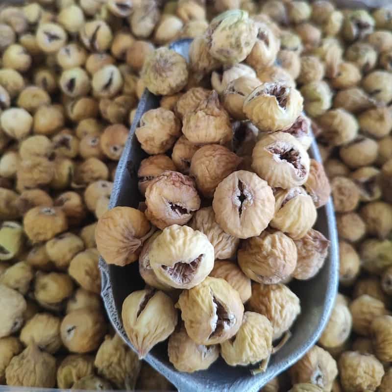خرید انجیر دیم