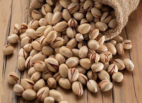 پسته فندقی با مغز پر + فروش عمده