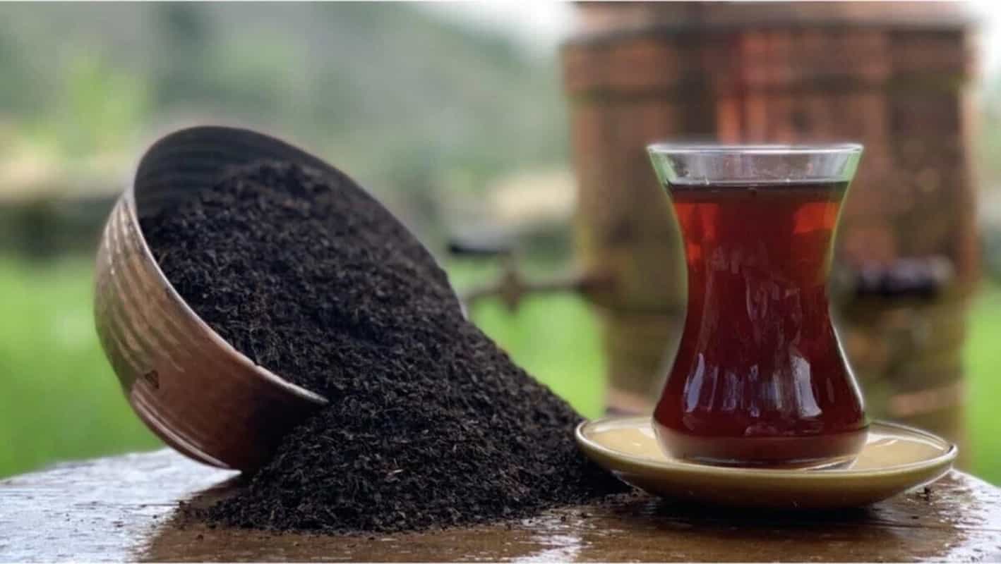 چای شمال ایران طبیعی و مرغوب مناسب مصرف روزانه