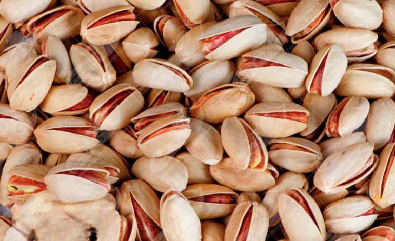 پسته اکیری مجلسی + انتخابی برای صادرات
