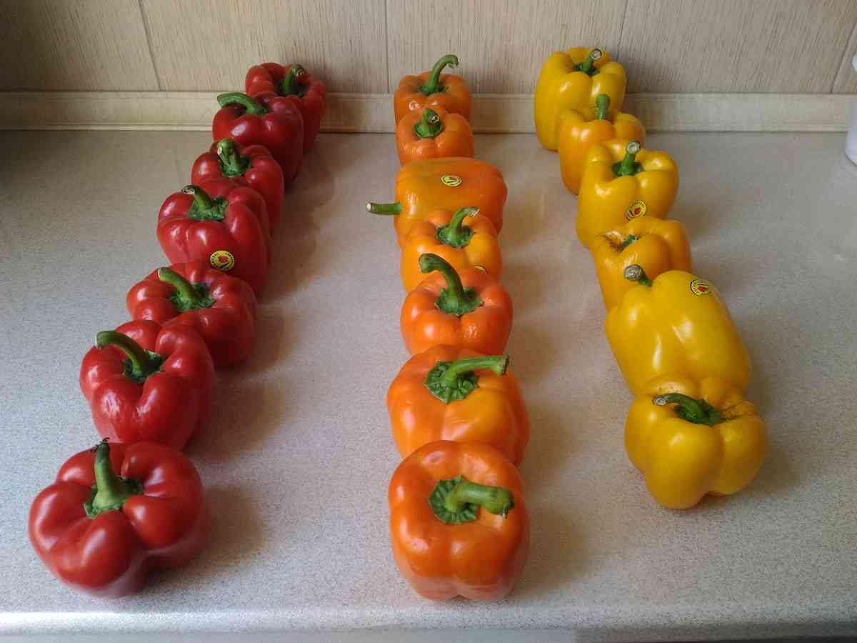 تصویر 2 از فلفل دلمه ای رنگی تازه و مرغوب مناسب مصارف خانگی و صنعتی